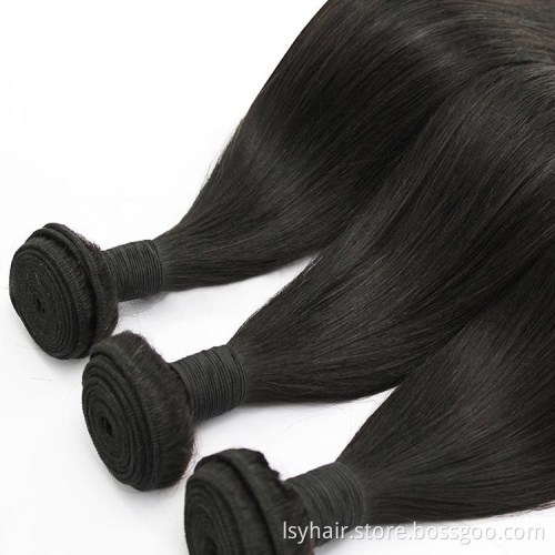 Mink Brazilian Straight Malaysian Hair Weave Bundles With Closure 8A and 9A, Wholesale Silky Straight Hair Extensions